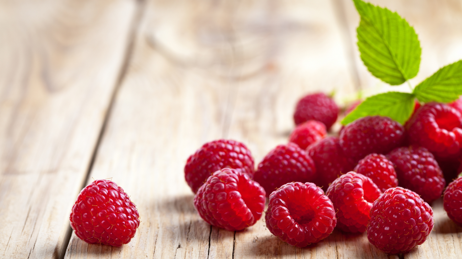 The Benefits of Red Raspberry Seed Oil in Skincare