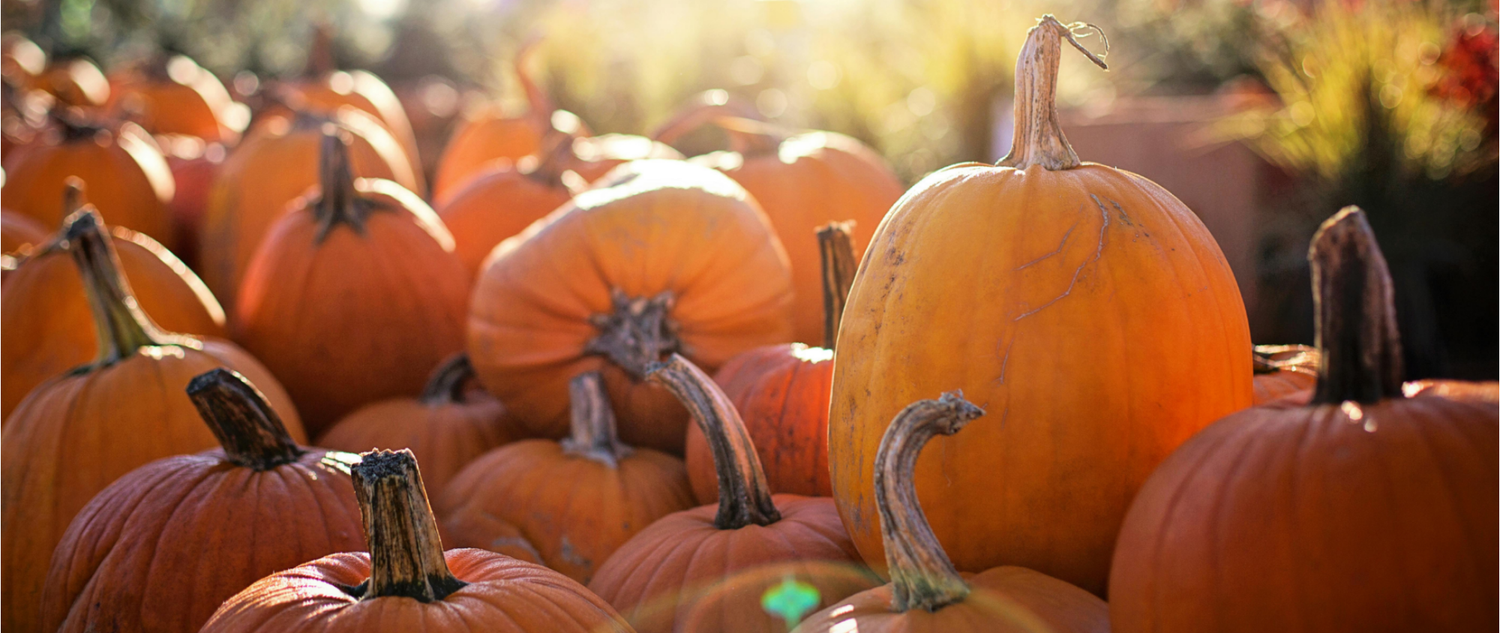 The Power of Pumpkin for Your Skin